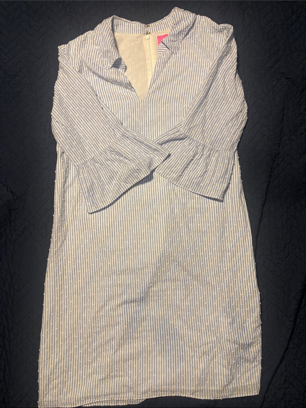 Lilly Pulitzer Blue and White Striped Long Sleeve Shift Dress